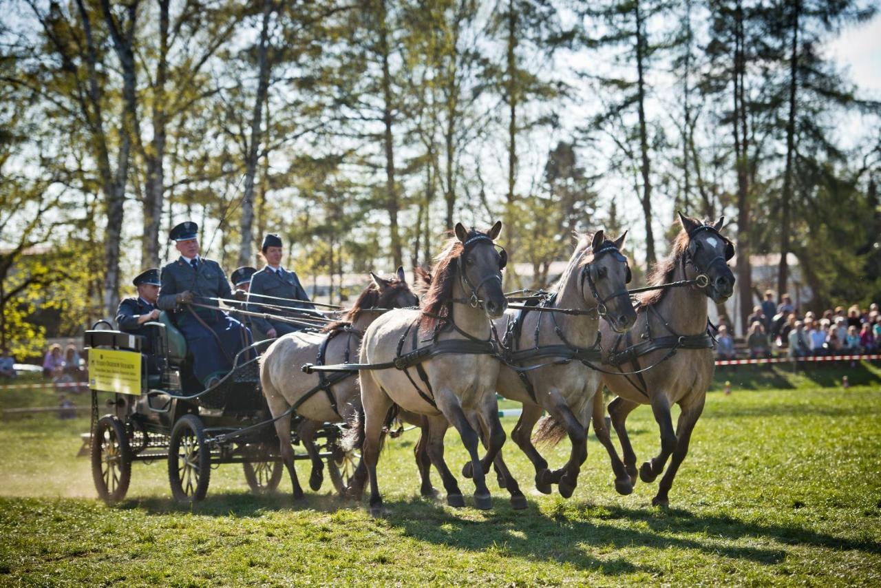 Domek Trolla Sierakow  Esterno foto